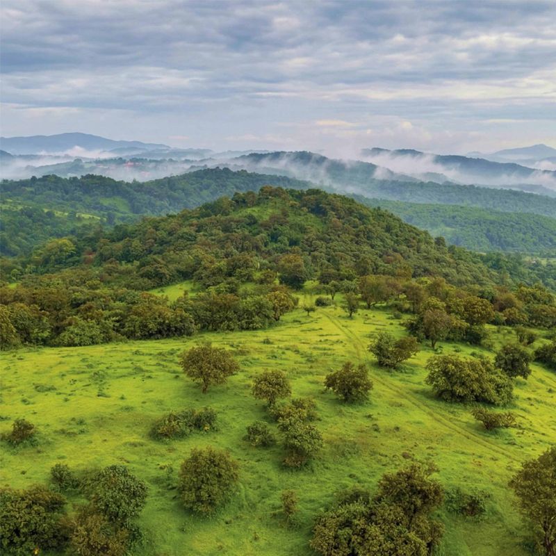 Green hillside with mist rolling over the ridges beyond